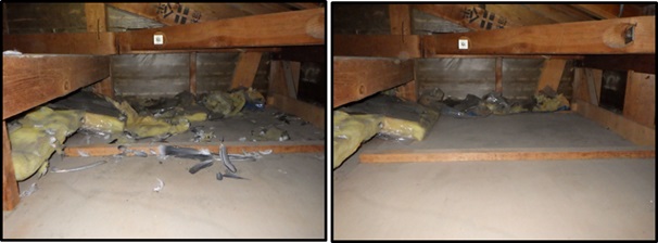 イタチ駆除 芦屋町