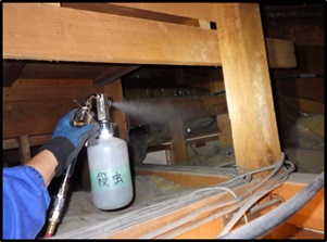 イタチ駆除 芦屋町