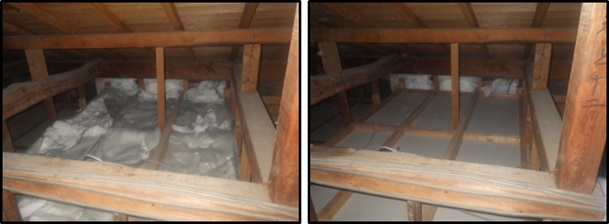 イタチ駆除 福智町