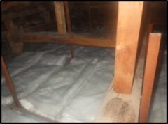 イタチ駆除　福智町