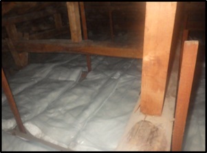 イタチ駆除 福智町