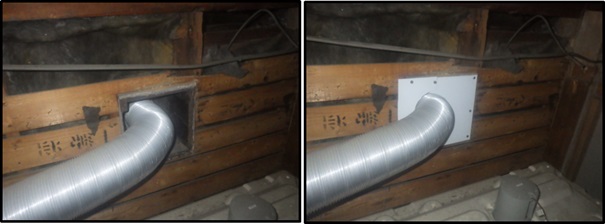 イタチ駆除 福智町