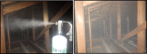 イタチ駆除 福智町