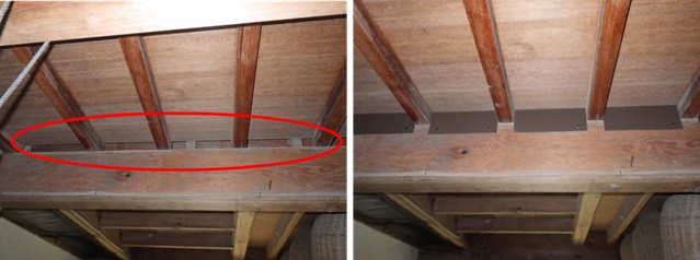 イタチ駆除 香春町