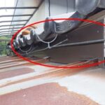 【香春町】イタチ・アライグマ駆除の事例紹介（隙間を封鎖）と料金、費用相場について