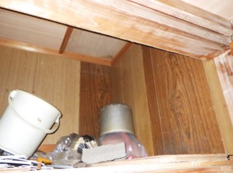 イタチ駆除　東峰村