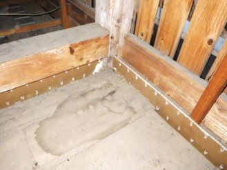 イタチ駆除　東峰村