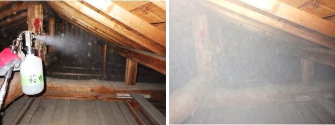 イタチ駆除　東峰村