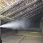 イタチ駆除 糸田町