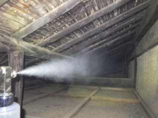 イタチ駆除 糸田町