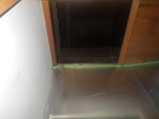 イタチ駆除 那珂川市