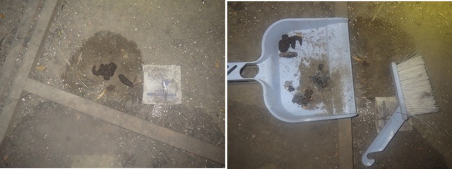 イタチ駆除 那珂川市