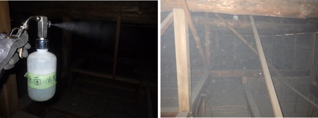 イタチ駆除 那珂川市