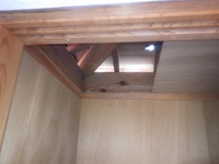 イタチ駆除 大任町