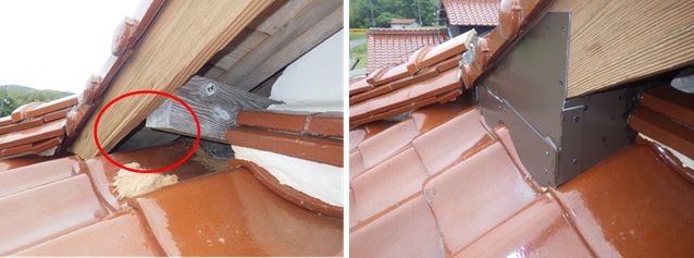 イタチ駆除 大任町