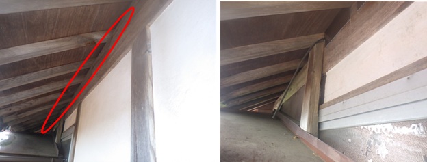 イタチ駆除 大任町