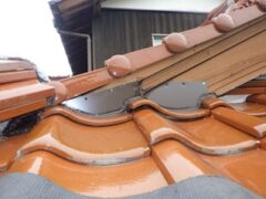 イタチ駆除　大任町