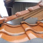 イタチ駆除 大任町