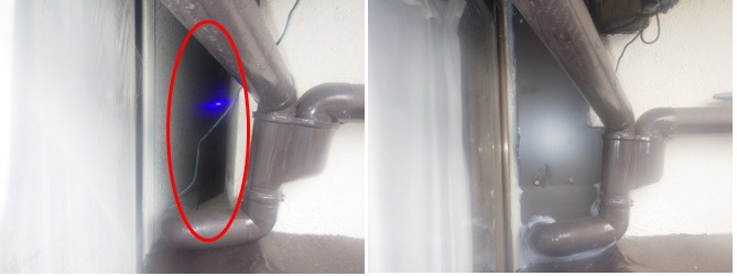 アライグマ駆小竹町除イタチ駆除 小竹町