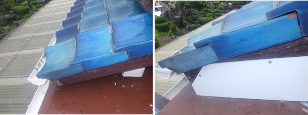 イタチ駆除　篠栗町