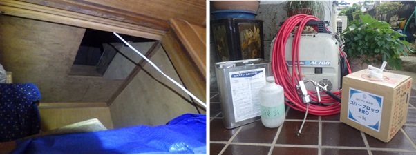 イタチ駆除　篠栗町