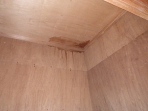 イタチ駆除　篠栗町