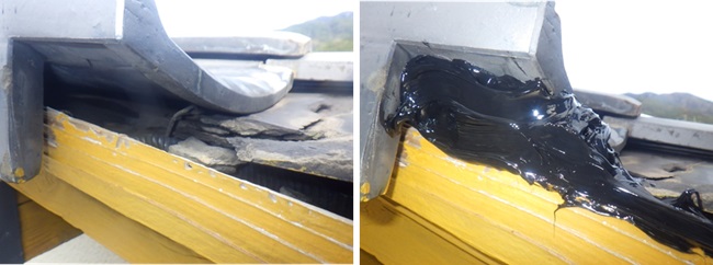 イタチ駆除　志免町