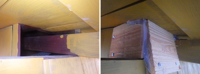 イタチ駆除　志免町