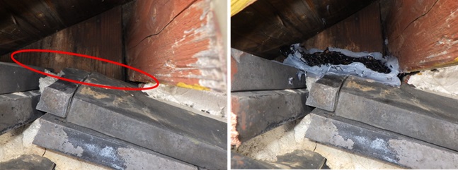 イタチ駆除　志免町