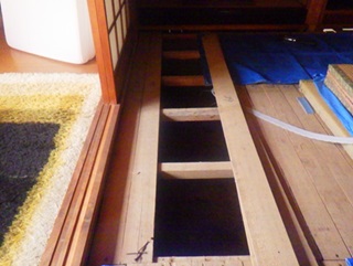 イタチ駆除　志免町