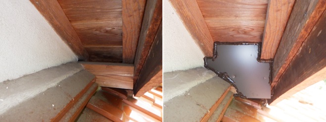 イタチ駆除　須恵町