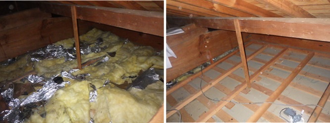 イタチ駆除　須恵町