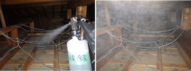 イタチ駆除　須恵町