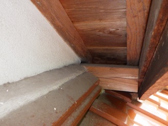 イタチ駆除　須恵町