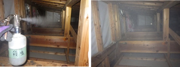 イタチ駆除 久山町