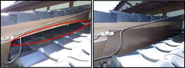 イタチ駆除 岡垣町