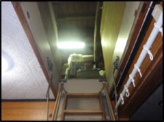 イタチ駆除　岡垣町