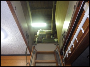 イタチ駆除 岡垣町