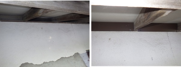 イタチ駆除 宇美町