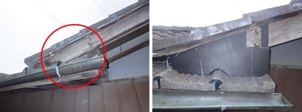 イタチ駆除 宇美町