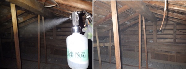 イタチ駆除 宇美町