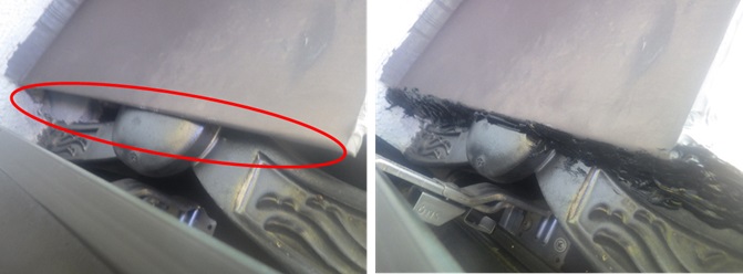 イタチ駆除　筑前町