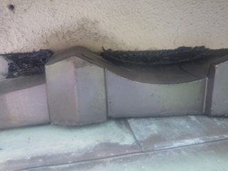 イタチ駆除　筑前町