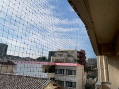福岡市　ハト被害　公共施設