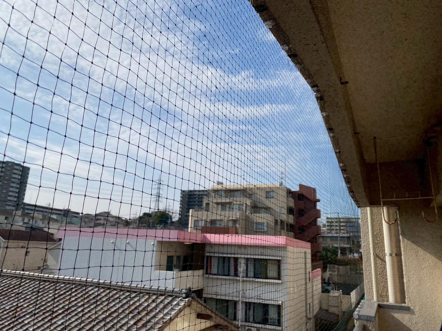 福岡市 ハト被害 公共施設