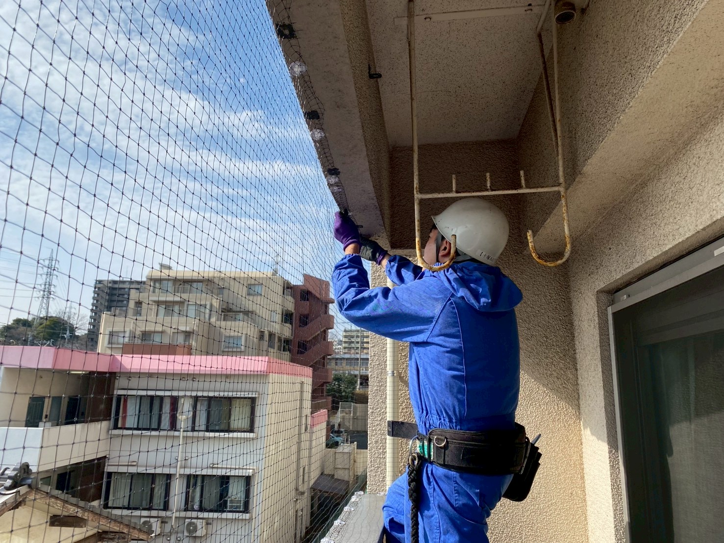 ハト駆除　若宮市