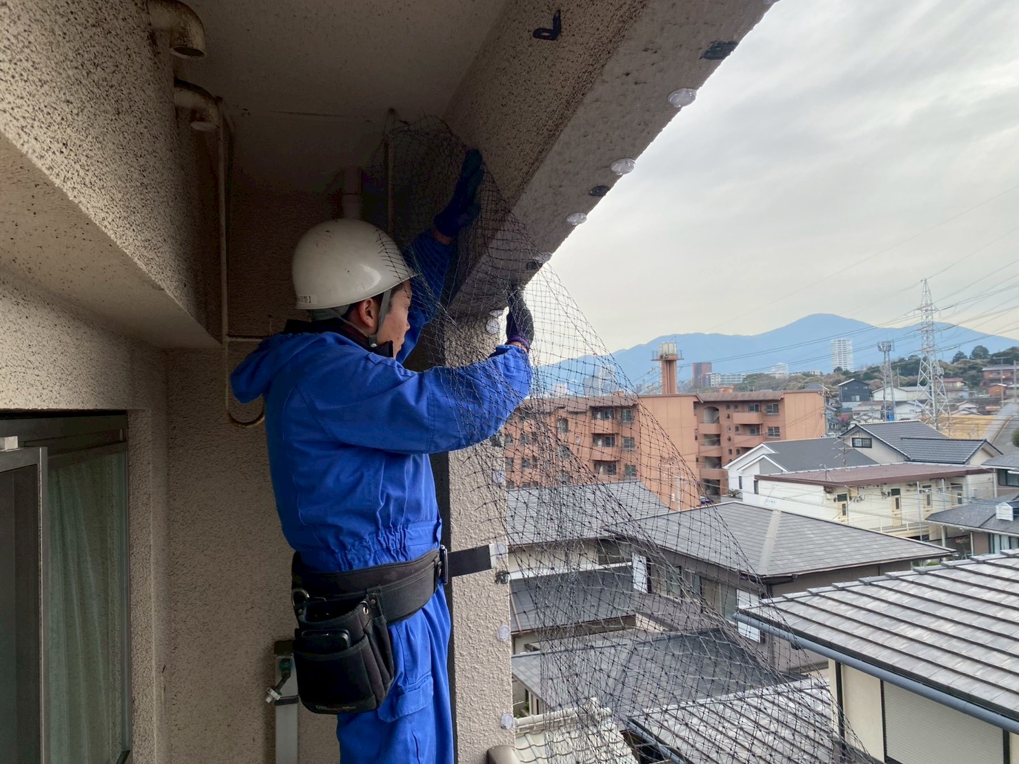 【久山町】マンションのベランダにハトが