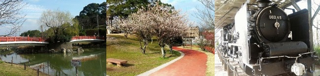 害獣駆除 飯塚市