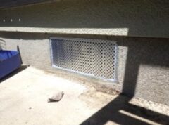 イタチ駆除 志免町