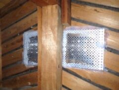 イタチ駆除 志免町